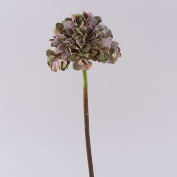 Fiore decorativo ortensia MANDISA, verde-rosa, 45 cm, Ø 16 cm Fiore decorativo ortensia MANDISA, verde-rosa, 45 cm, Ø 16 cm