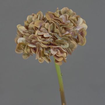 Fiore decorativo ortensia MANDISA, beige-verde antico-lilla, 45 cm, Ø 16 cm Fiore decorativo ortensia MANDISA, beige-verde antico-lilla, 45 cm, Ø 16 cm