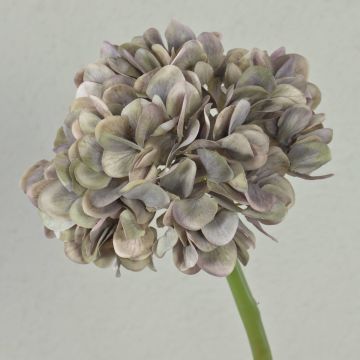 Fiore decorativo ortensia MANDISA, grigio-lilla-verde, 45 cm, Ø 16 cm Fiore decorativo ortensia MANDISA, grigio-lilla-verde, 45 cm, Ø 16 cm