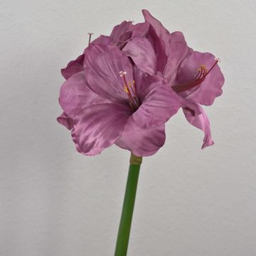 Fiore artificiale Amaryllis MARANON, viola, 70 cm, Ø 19 cm Fiore artificiale Amaryllis MARANON, viola, 70 cm, Ø 19 cm