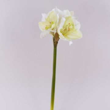 Fiore artificiale Amaryllis MARKUNO, bianco crema, 65 cm, Ø 13 cm Fiore artificiale Amaryllis MARKUNO, bianco crema, 65 cm, Ø 13 cm