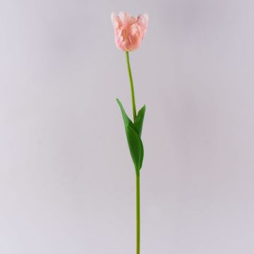 Fiore in plastica tulipano pappagallo PETSCHORA, albicocca-rosa, 65 cm Fiore in plastica tulipano pappagallo PETSCHORA, albicocca-rosa, 65 cm