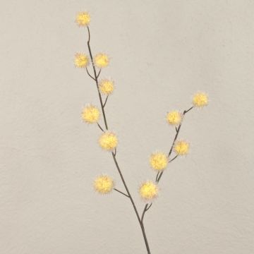 Ramo decorativo di Gomphocarpus ELAENA, frutti, beige-viola, 100 cm