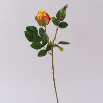 Rosa in velluto RENESMEE, giallo-rosso, 45 cm, Ø 6 cm