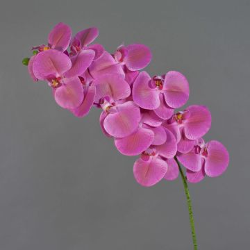 Ramo di orchidea Phalaenopsis artificiale XURI, rosa, 95 cm, Ø 12,5 cm Ramo di orchidea Phalaenopsis artificiale XURI, rosa, 95 cm, Ø 12,5 cm