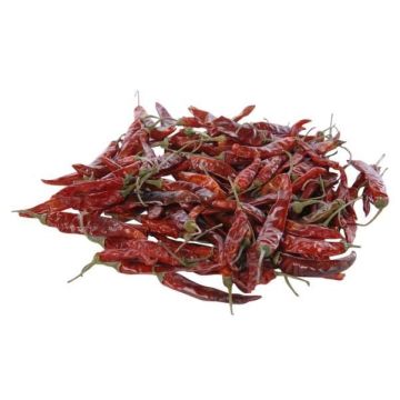 Frutta secca decorativa, peperoncini corti RÜDIGER, rossi, 4-8 cm, 250 g Frutta secca decorativa, peperoncini corti RÜDIGER, rossi, 4-8 cm, 250 g