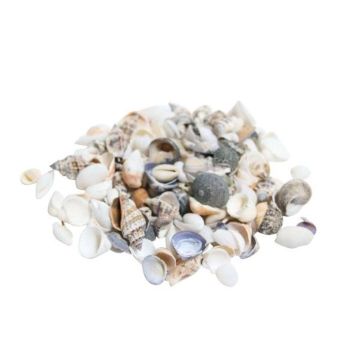 Conchiglie NERINO, naturale, 500g