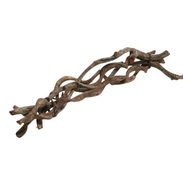Fagci di vite in mazzo VINO, 5 pezzi, marroni, 60 cm, Ø 2 cm