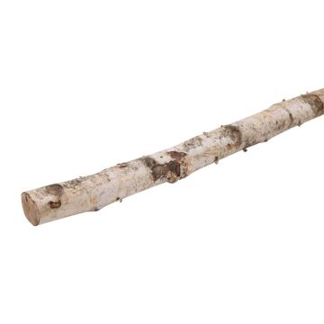 Decorazione naturale tronco di betulla CALAM, naturale, 150 cm, Ø 4 cm Decorazione naturale tronco di betulla CALAM, naturale, 150 cm, Ø 4 cm