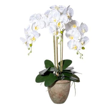 Orchidea Phalaenopsis artificiale FRIMTOR in vaso di terracotta, radici, bianca, 75cm