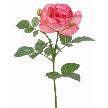 Fiore decorativo rosa WAIOLA, rosa-fucsia, 65cm, Ø11cm Fiore decorativo rosa WAIOLA, rosa-fucsia, 65cm, Ø11cm