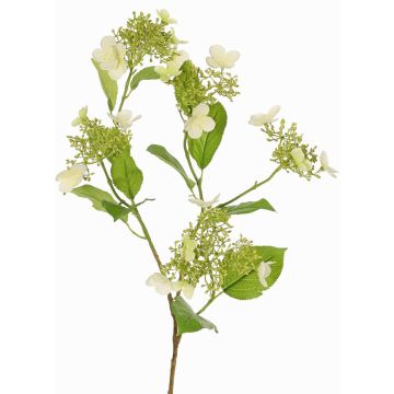 Ramo artificiale di ortensia KATHANI, bianco-verde, 80cm, Ø10-13cm Ramo artificiale di ortensia KATHANI, bianco-verde, 80cm, Ø10-13cm