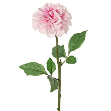 Dalia artificiale TINKALA, rosa tenue, 60 cm, Ø 12 cm Dalia artificiale TINKALA, rosa tenue, 60 cm, Ø 12 cm