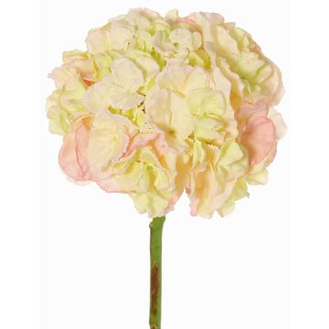 Ortensia artificiale LIRLAFY, verde-rosa, 65 cm, Ø 20 cm Ortensia artificiale LIRLAFY, verde-rosa, 65 cm, Ø 20 cm