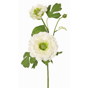Ranuncolo artificiale SAGARA, bianco-verde, 45cm, Ø5-9cm Ranuncolo artificiale SAGARA, bianco-verde, 45cm, Ø5-9cm