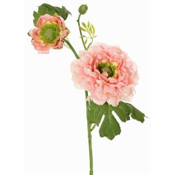 Ranuncolo artificiale SAGARA, rosa-verde, 45cm, Ø5-9cm Ranuncolo artificiale SAGARA, rosa-verde, 45cm, Ø5-9cm