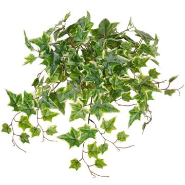 Piante rampicanti decorative BESSIE su stelo, Eco Collection, verde-bianco, 55cm Piante rampicanti decorative BESSIE su stelo, Eco Collection, verde-bianco, 55cm
