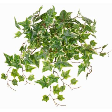 Piante rampicanti decorative BESSIE su stelo, Eco Collection, verde-bianco, 55cm