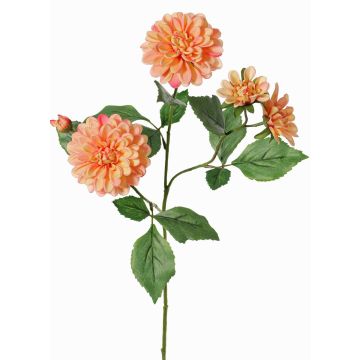 Ramo decorativo di dalia QUINKA, pesca, 70 cm