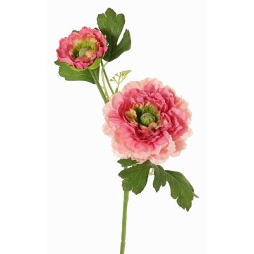 Ranuncolo artificiale SAGARA, rosa-fucsia-verde, 45cm, Ø5-9cm Ranuncolo artificiale SAGARA, rosa-fucsia-verde, 45cm, Ø5-9cm