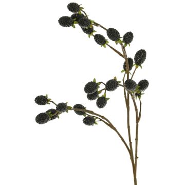 Ramo artificiale di rovo URUMA con frutti, nero, 90 cm Ramo artificiale di rovo URUMA con frutti, nero, 90 cm