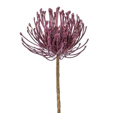 Fioro decorativo a forma di cuscino porta spilli Protea ZIRMO, lilla, 50cm