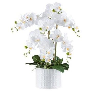 Orchidea Phalaenopsis artificiale TOUNI, vaso in ceramica, radici, bianca, 60cm