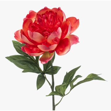 Fiore artificiale peonia TWOLER, corallo, 60 cm, Ø 13 cm Fiore artificiale peonia TWOLER, corallo, 60 cm, Ø 13 cm