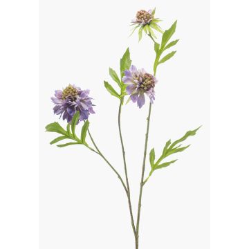 Ramo artificiale di scabiosa RUXTER, lilla, 60 cm, Ø 6-8 cm Ramo artificiale di scabiosa RUXTER, lilla, 60 cm, Ø 6-8 cm