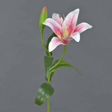 Fiore artificiale giglio tigrato MIXLON, rosa-bianco, 55 cm, Ø 13 cm Fiore artificiale giglio tigrato MIXLON, rosa-bianco, 55 cm, Ø 13 cm