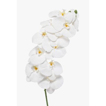 Ramo di orchidea Phalaenopsis artificiale XURI, bianco, 95 cm, Ø 12,5 cm Ramo di orchidea Phalaenopsis artificiale XURI, bianco, 95 cm, Ø 12,5 cm