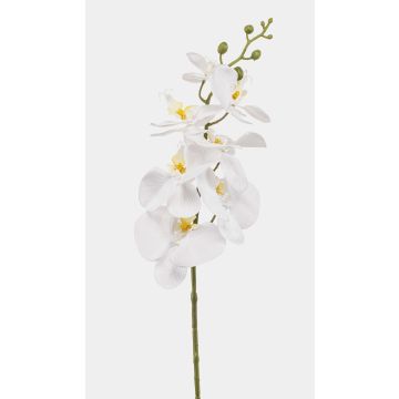 Ramo di orchidea Phalaenopsis artificiale AXELOR, bianco, 85 cm Ramo di orchidea Phalaenopsis artificiale AXELOR, bianco, 85 cm