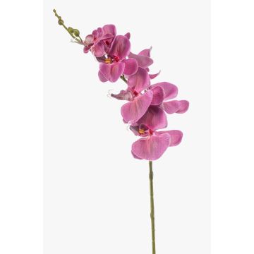 Ramo di orchidea Phalaenopsis artificiale AXELOR, rosa, 85 cm Ramo di orchidea Phalaenopsis artificiale AXELOR, rosa, 85 cm