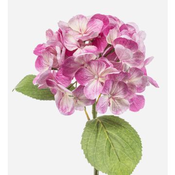 Ortensia sintetica EXORIN, rosa, 50cm, Ø17cm Ortensia sintetica EXORIN, rosa, 50cm, Ø17cm