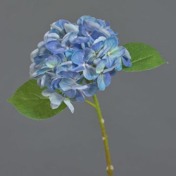 Ortensia sintetica EXORIN, blu, 50cm, Ø17cm Ortensia sintetica EXORIN, blu, 50cm, Ø17cm