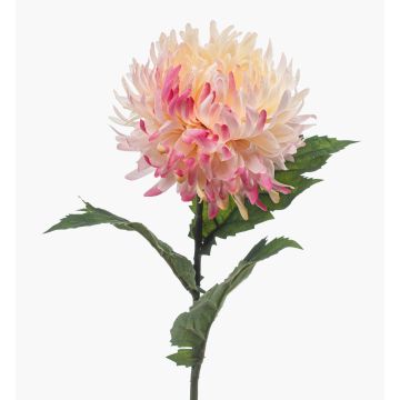 Crisantemo artificiale SAXLER, rosa-fucsia-bianco, 60 cm, Ø 12 cm Crisantemo artificiale SAXLER, rosa-fucsia-bianco, 60 cm, Ø 12 cm