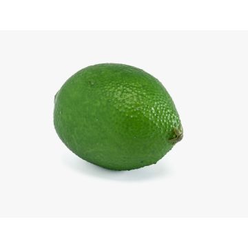 Frutto artificiale Limetta NANGA, verde, 8,5 cm, Ø 6 cm Frutto artificiale Limetta NANGA, verde, 8,5 cm, Ø 6 cm