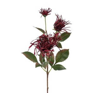 Ramo di crisantemo artificiale MIRANE, rosso bordeaux, 70 cm Ramo di crisantemo artificiale MIRANE, rosso bordeaux, 70 cm