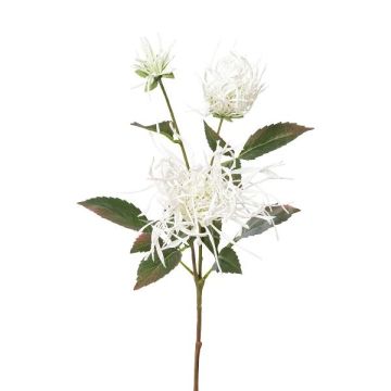 Ramo di crisantemo artificiale MIRANE, bianco, 70 cm Ramo di crisantemo artificiale MIRANE, bianco, 70 cm