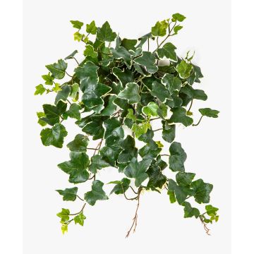 Edera artificiale pendente LINNEO su stelo, crossdoor, verde-bianco, 50cm Edera artificiale pendente LINNEO su stelo, crossdoor, verde-bianco, 50cm
