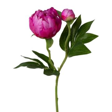 Fiore di plastica peonia CORENY, rosa acceso, 45 cm Fiore di plastica peonia CORENY, rosa acceso, 45 cm