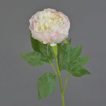 Fiore artificiale peonia SEDFY, crema-rosa tenue, 60 cm, Ø 10 cm Fiore artificiale peonia SEDFY, crema-rosa tenue, 60 cm, Ø 10 cm