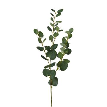 Ramo artificiale di eucalipto JINVAL, verde, 80 cm Ramo artificiale di eucalipto JINVAL, verde, 80 cm