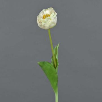 Fiore di plastica tulipano LURANA, bianco, 55cm, Ø7cm Fiore di plastica tulipano LURANA, bianco, 55cm, Ø7cm