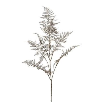 Ramo artificiale di Asparagus Plumosus BLORVI, argento anticato, 90 cm Ramo artificiale di Asparagus Plumosus BLORVI, argento anticato, 90 cm