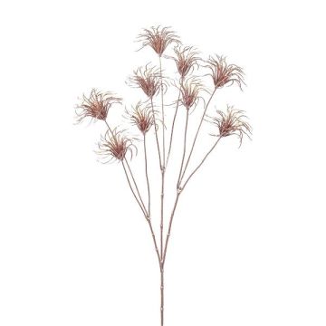 Clematide decorativa con infiorescenza HARWAY, rosa-oro, 70 cm, Ø 7 cm Clematide decorativa con infiorescenza HARWAY, rosa-oro, 70 cm, Ø 7 cm