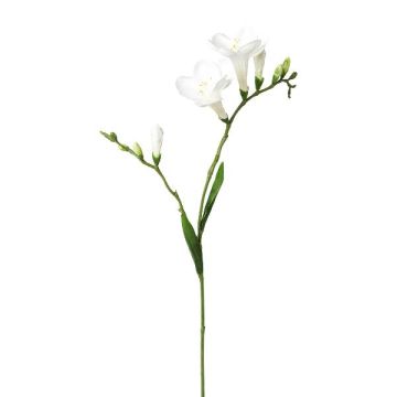Ramo artificiale di fresia FONDYL, bianco, 70 cm Ramo artificiale di fresia FONDYL, bianco, 70 cm