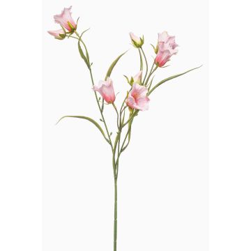 Ramo decorativo di campanula EMMELY, rosa chiaro, 65 cm, Ø 5 cm