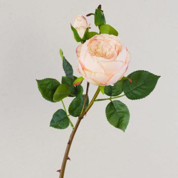 Rosa cavolo artificiale MIRETTA, rosa-verde, 60 cm, Ø 3-9 cm Rosa cavolo artificiale MIRETTA, rosa-verde, 60 cm, Ø 3-9 cm