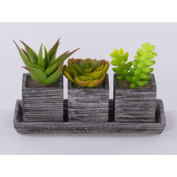Composizione di piante grasse in schiuma sintetica SYLVIA in vasi decorativi, verde, 19x7,5x11cm